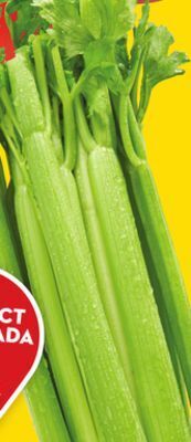 Giant Tiger Celery offer