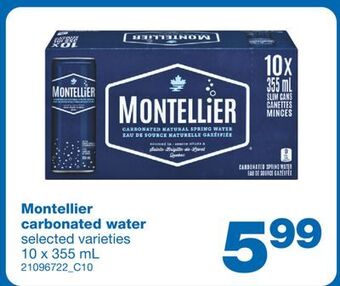Wholesale Club Carbonated water, 10 x 355 ml offer