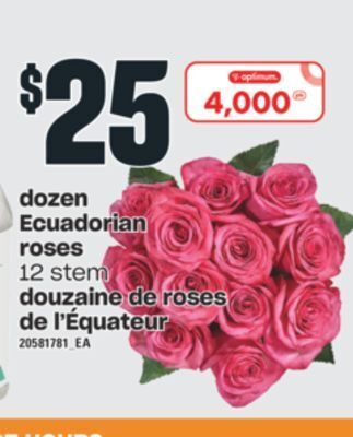 Valu-mart Douzaine de roses de l'équateur offer