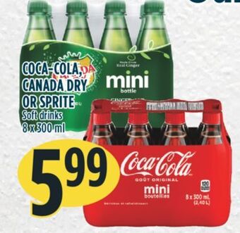Marché Adonis Coca-cola, canada dry or sprite soft drinks offer