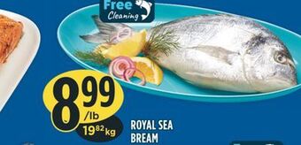 Marché Adonis Royal sea bream offer
