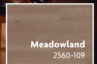 Home Hardware Expresso plus vinyl plank flooring meadowland offer