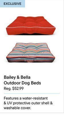 Petvalu Bailey & bella leather collars & leashes offer
