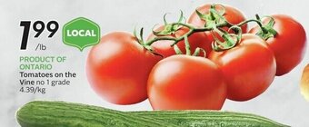 Sobeys Tomatoes on the Vine offer