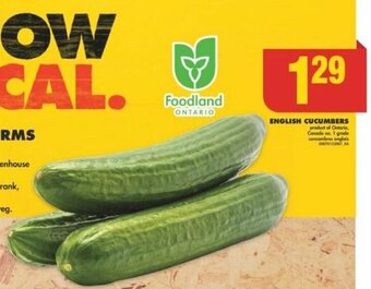 No Frills ENGLISH CUCUMBERS offer