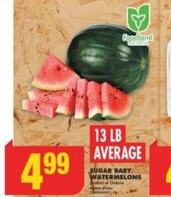 No Frills SUGAR BABY WATERMELONS offer
