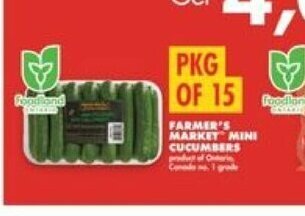 No Frills FARMER'S MARKET MINI CUCUMBERS offer