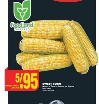 No Frills SWEET CORN offer
