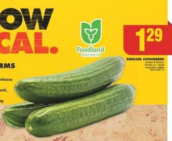No Frills ENGLISH CUCUMBERS offer