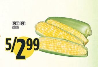 Marché Adonis Corn cob offer