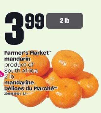 Independent City Market Mandarine délices du marché, 2 lb offer