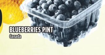 Marché Adonis Blueberries pint offer