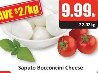Saputo bocconcini cheese