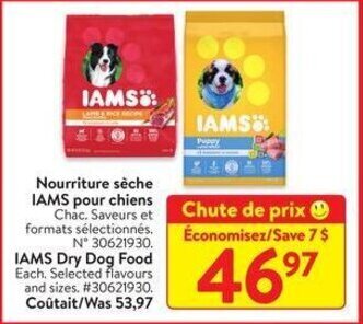 Walmart IAMS Dry Dog Food offer