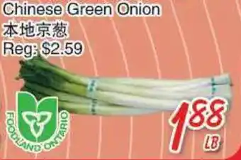 Foody Mart Chinese green onion offer