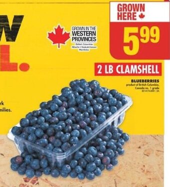 No Frills BLUEBERRIES offer
