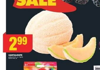 No Frills CANTALOUPE offer