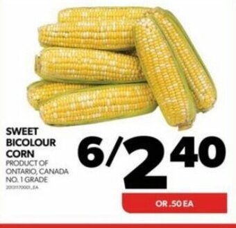 Real Canadian Superstore SWEET BICOLOUR CORN offer