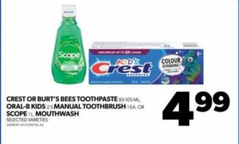 Real Canadian Superstore CREST OR BURT'S BEES TOOTHPASTE, ORAL-B KIDS MANUAL TOOTHBRUSH OR SCOPE, MOUTHWASH offer