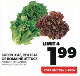 Real Canadian Superstore GREEN LEAF, RED LEAF OR ROMAINE LETTUCE offer