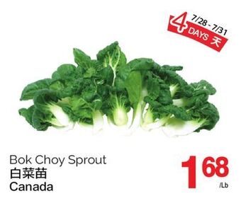 T&T Supermarket Bok choy sprout offer