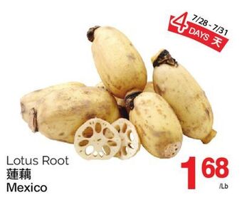 T&T Supermarket Lotus root offer