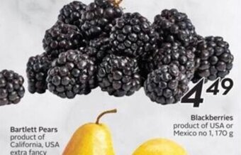 Sobeys Blackberries offer