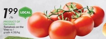 Sobeys Tomatoes on the Vine offer