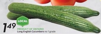 Sobeys Long English Cucumbers offer