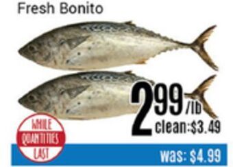 Nations Fresh Foods Fresh bonito offer