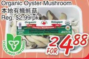 Foody Mart Organic oyster mushroom offer