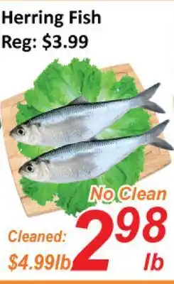 Seasons Foodmart Herring fish offer