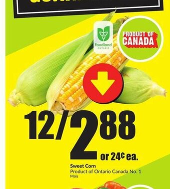 FreshCo Sweet Corn offer