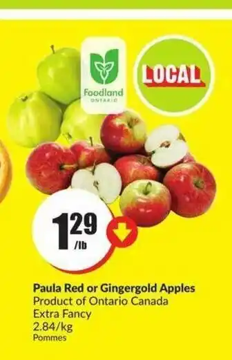 FreshCo Paula Red or Gingergold Apples offer