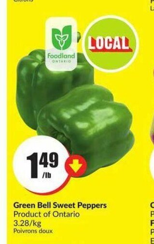 FreshCo Green Bell Sweet Peppers offer