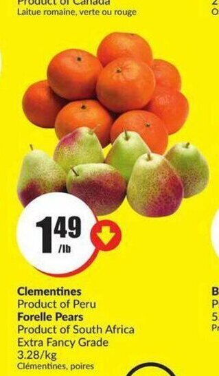 FreshCo Clementines offer