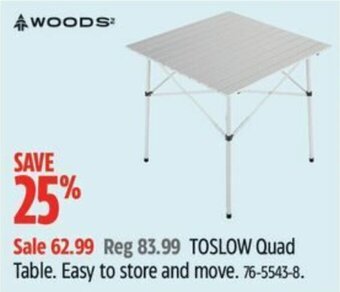 Canadian Tire TOSLOW Quad Table. Easy to store and move. offer