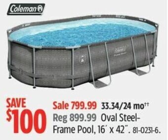 Canadian Tire Oval Steel-Frame Pool, 16' x 42". offer
