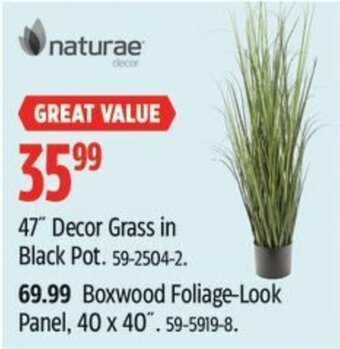 Canadian Tire 47" Decor Grass in Black Pot. offer