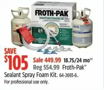 Canadian Tire Sealant Spray Foam Kit. offer