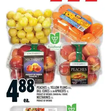 Metro PEACHES, YELLOW PLUMS, DILL CUKES OR APRICOTS or NECTARINES offer