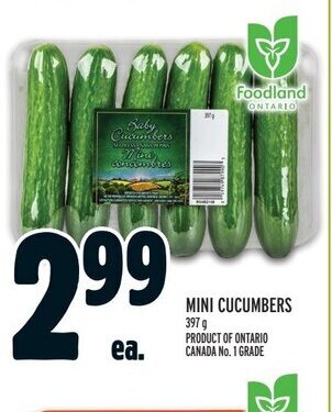 Metro MINI CUCUMBERS offer