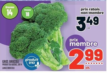 Metro GROS BROCOLI offer