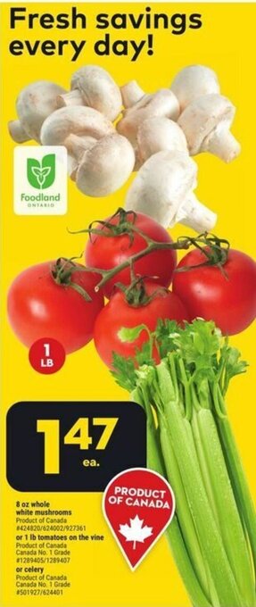 Giant Tiger 8 oz whole white mushrooms or 1 lb tomatoes on the vine or Celery offer