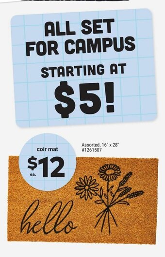 Giant Tiger Coir mat offer