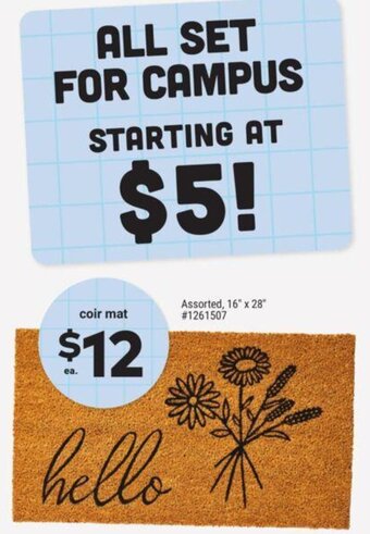 Giant Tiger Coir mat offer