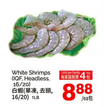 T&T Supermarket White Shrimps offer