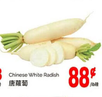 T&T Supermarket Chinese White Radish offer