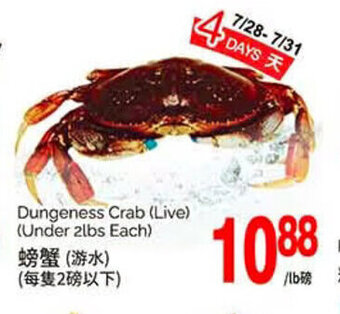 T&T Supermarket Dungeness Crab offer
