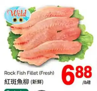 T&T Supermarket Rock Fish Fillet offer